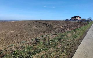 Teren de vânzare în Rediu-Horlești, 7850 mp, cu deschidere la DJ 248b, parcelabil - Poză 1