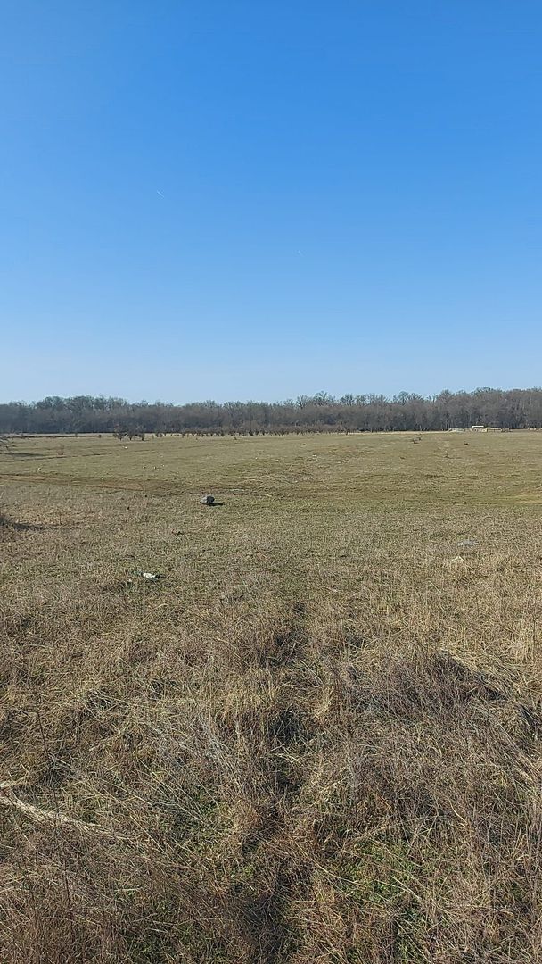 550mp teren intravilan in localitatea Pruni - oras Magurele -jud Ilfov - Poză 5