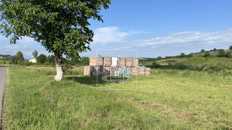 Teren de vanzare iesirea din Sura Mare spre Hamba/Casă single/duplex - Poză 5