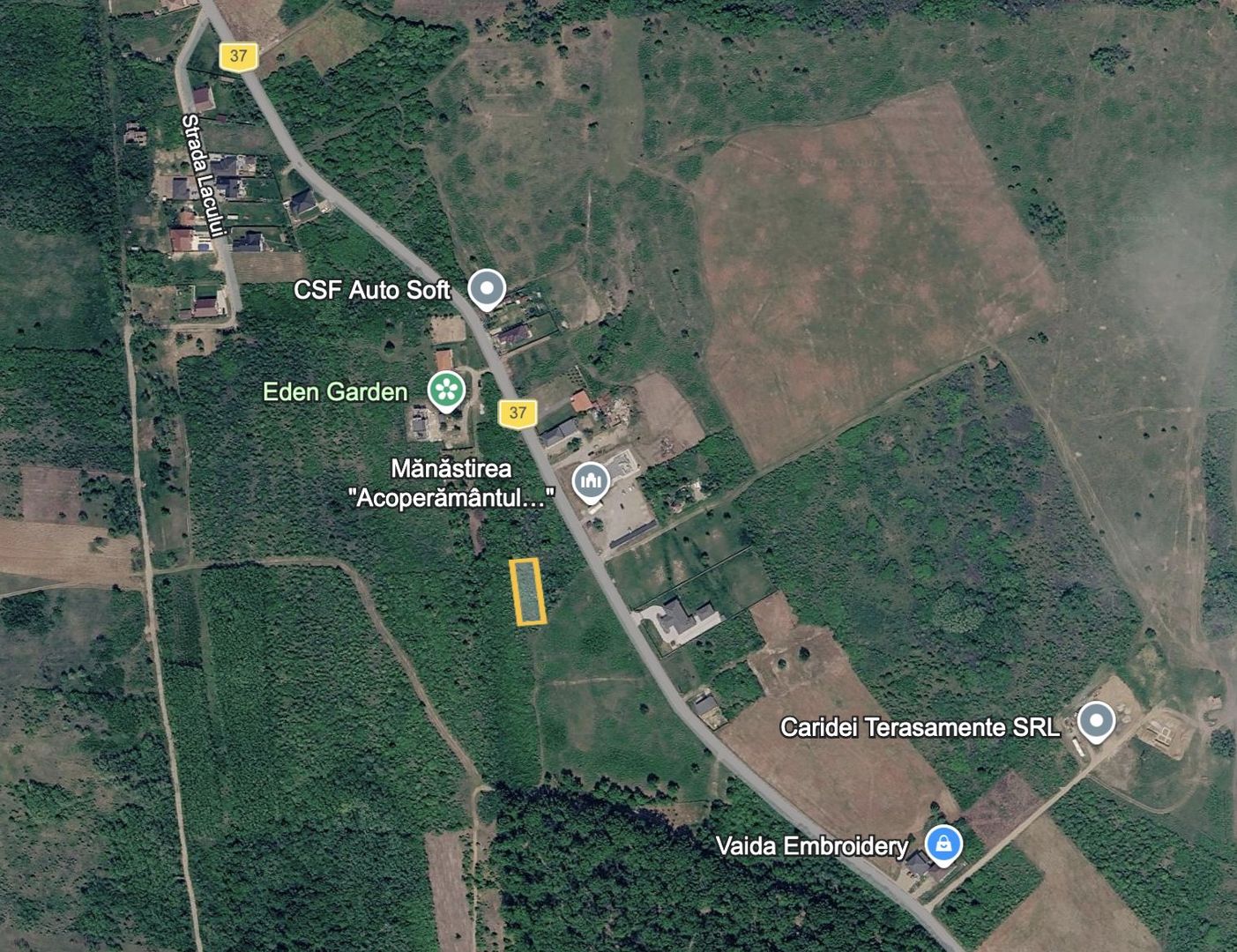 Teren intravilan 703 mp  Paleu - Poză 1