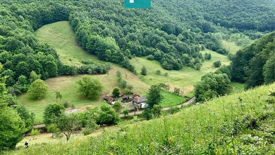 Teren  pentru investiții  în Luncoiu de Jos - Poză 1