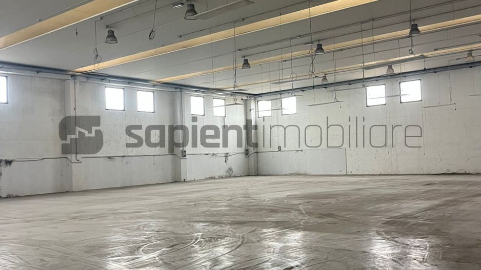 Sapient | Hală situata în com. Borș - Poză 8