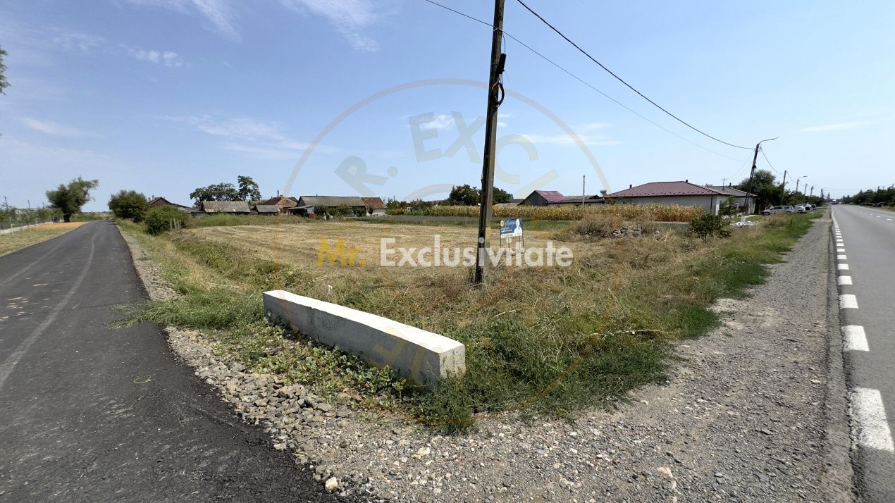 Teren intravilan 1450 mp 397 DN1F - Loc. Ghenci - Jud. Satu Mare - Poză 5