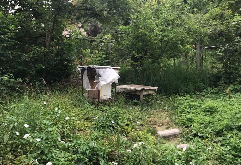 Vanzare garsoniera situata in centrul istoric - Poză 3