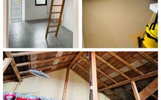 Vila Plopii fara sot, Bucium - Proprietar - Poză 4