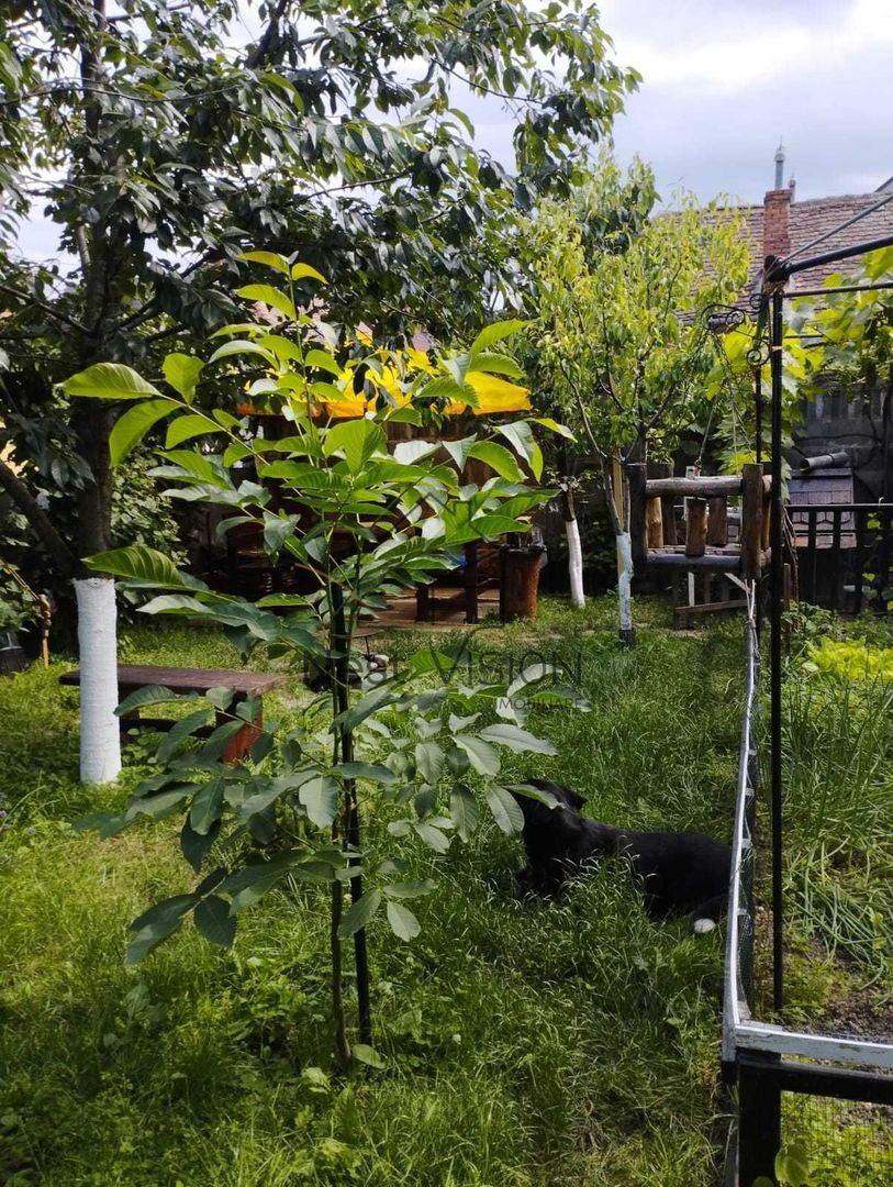 🏡 Apartament decomandat la casă | 2 camere | Piața Cluj - Poză 8