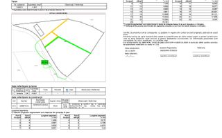 Oportunitate Investitie |Teren Pestera | 2.250mp |Utilitati Gaz/Curent - Poză 10
