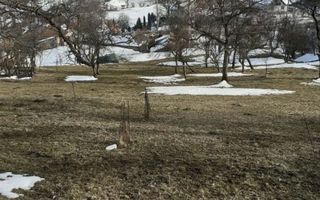 Teren Moieciu de Jos - Poză 5