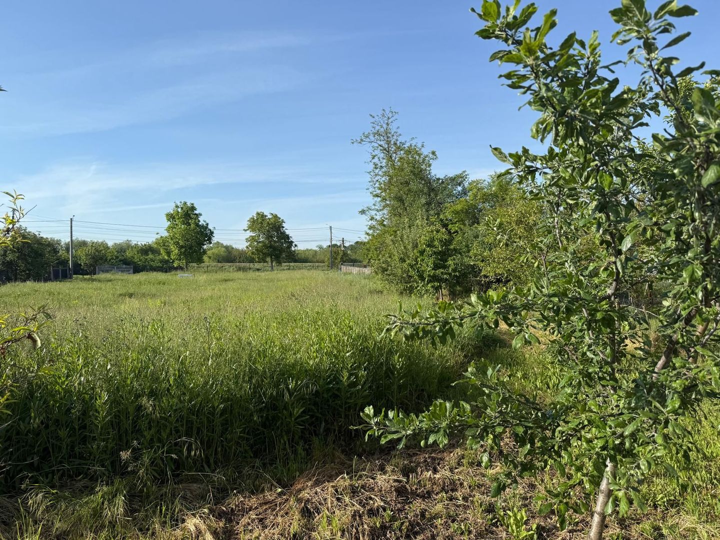 Teren de 3360 mp în exclusivitate, Sânmihaiu Român, vedere la Bega - Poză 2