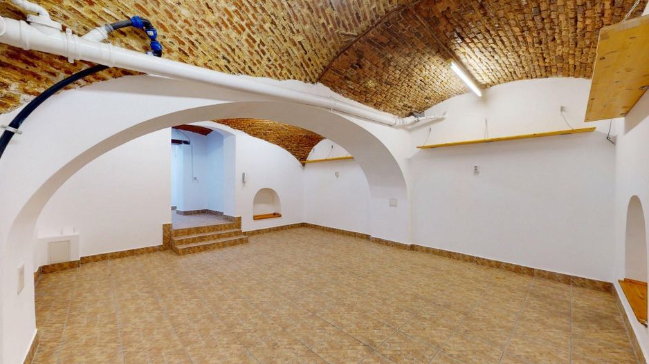 Casă cu șarm istoric lângă Cișmigiu – 6 camere, atrium natural, cramă - Poză 34