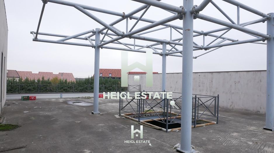 Sala de evenimente in Albina - Poză 10