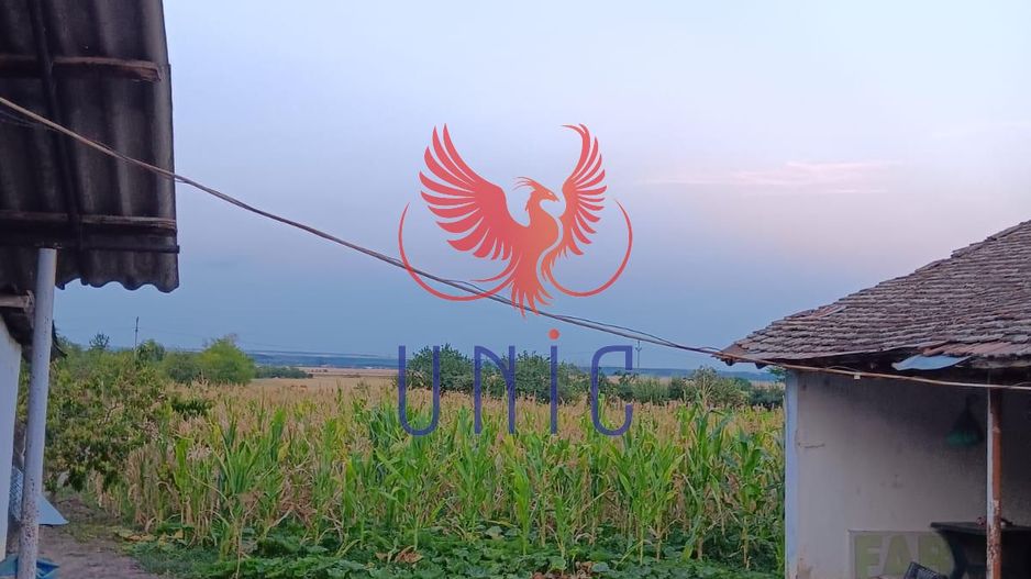 Casa cu teren de 3300mp , Gura Vaii! - Poză 19