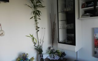 Garsoniera cu centrala in bloc reabilita Plitehnica - Poză 8