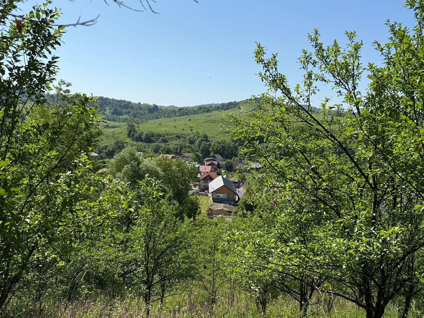 Vanzare casa cu 4 camere+anexe într-o zonă de poveste – Bezdead - Poză 18