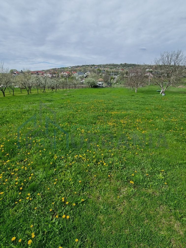 Teren intravilan de vanzare in Tomesti, Chicerea – 2 parcele cu utilitati in zona - Poză 5