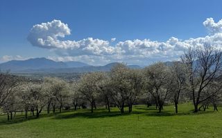 Terenuri Bran - Predelut  Priveliște către Bucegi și Postăvaru - Poză 16