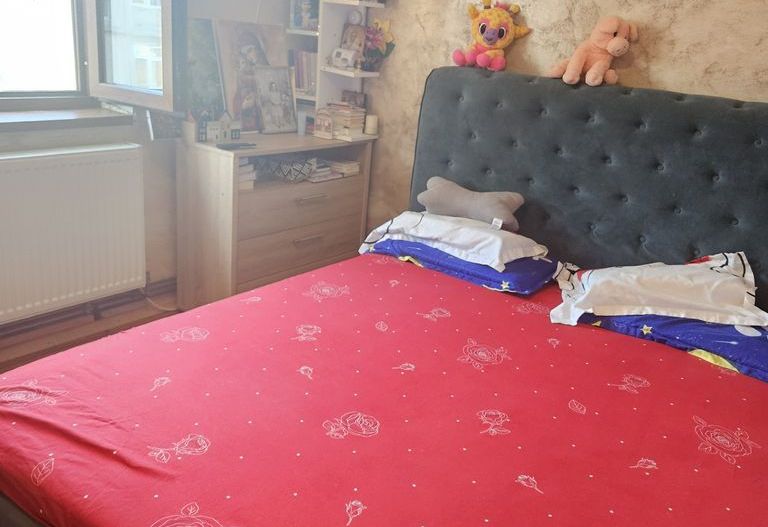 Apartament 2 camere Craiovita Noua - Poză 3