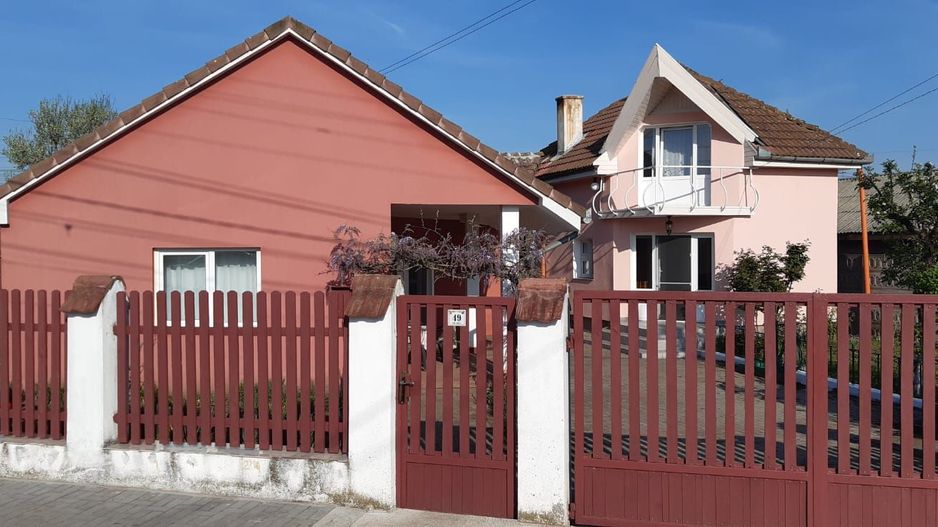 OFERTA in Băcia. Hunedoara ! Proprietate 2 case + Cabană - Poză 2