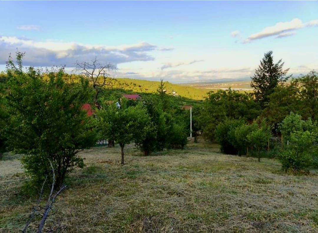 Teren Intravilan Podgoria - Poză 4