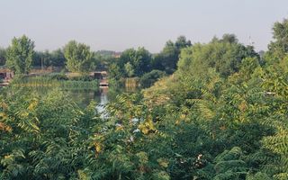 Teren cu Vedre Lac - Poză 2