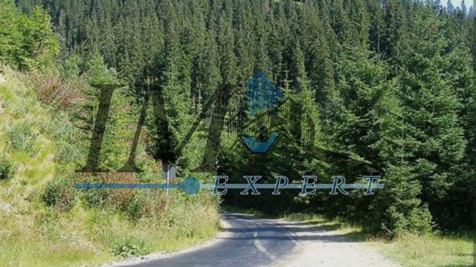 Teren de vânzarepadure  in Cugir 10.644mp - Poză 1