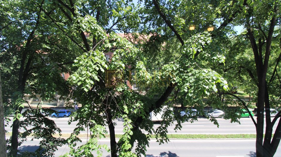La prima inchiriere; centrala proprie/clima, Politehnica-UVT. - Poză 16