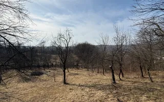 Teren intravilan 2788 mp deschidere 55 ml cu vedere panoramica ! - Poză 14