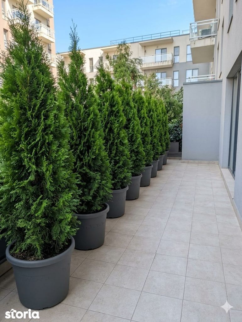 3 camere | Parter terasă 27 mp | Barbu Văcărescu | 2 parcări - Poză 12