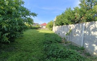 Teren 664 mp | Front 22 ml | Mehala | Ideal Casă sau Duplex - Poză 4