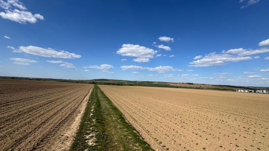 Teren extravilan de vânzare în Paleu - Poză 2
