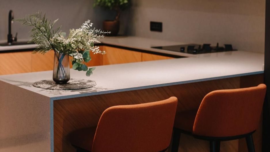 Vila induviduala | Iancu Nicolae | British School | - Poză 10