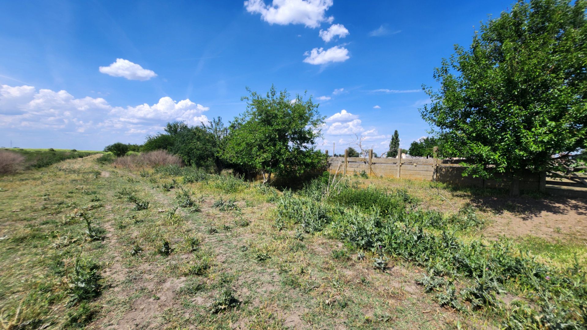 Teren intravilan -Jimbolia zona Kikindei - Poză 30