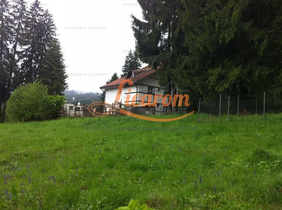 Teren intravilan Cotul Donului,pretabil Hotel/pensiune. - Poză 10