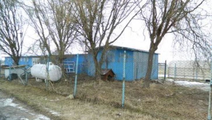 spatiu comercial Sanandrei Timis - Poză 3