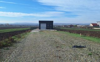 Hala de vanzare in Racari de Jos - Poză 18