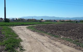 Teren de Vanzare - Extravilan - 23.300mp - Gusterita - 0% Comision - Poză 4