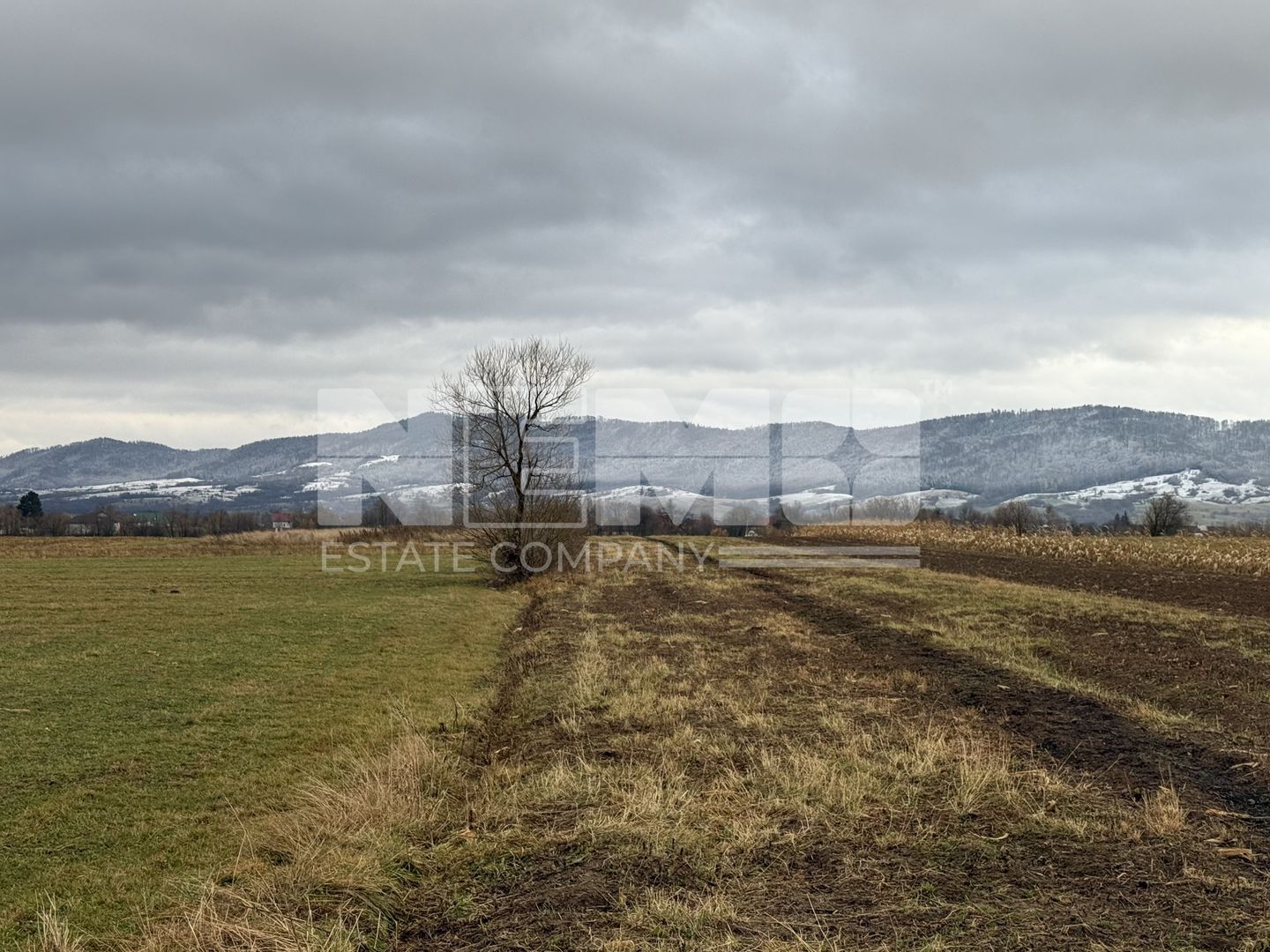 Teren 80 Ari | Vicovu de Sus – Bahna | Front 16.5 - Poză 4