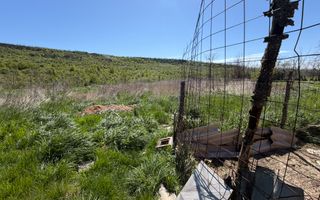 Casă Sat. Drăgești, Comuna Dămienști - Poză 24