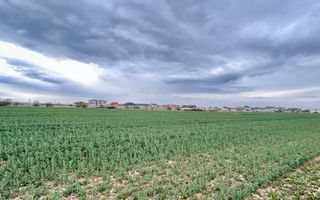 Teren premium 4000 mp – Cartier Grigorescu - Poză 2