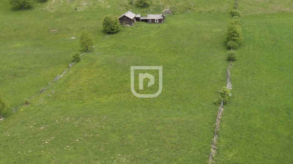 Teren Manastirea Humorului 4000mp - Poză 5