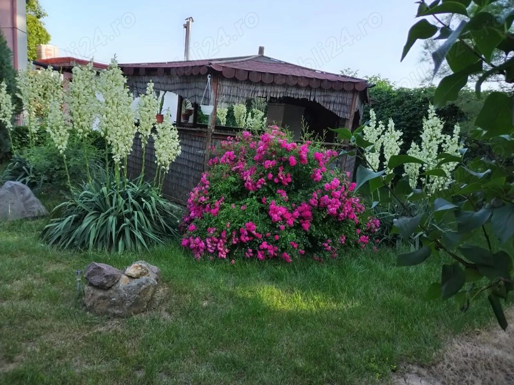 Casa in Comuna Nuci IF - Poză 2