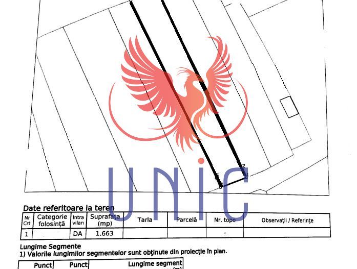 Teren intravilan, 1600 mp, Goiesti - Schiță 1