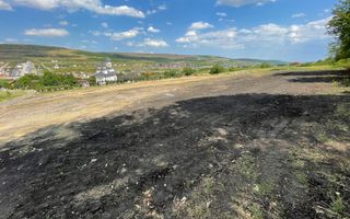 Terenuri de vanzare, Parcelabil, Valea Chintaului, Zona Beta Residence - Poză 2