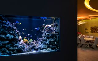 RELAX         REFRESH         REVIVE - Poză 11