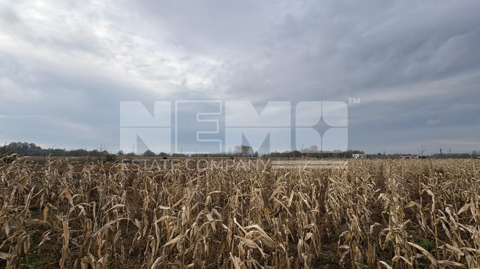 Teren de vânzare | 52 ari | intravilan | Zonă liniștită | Rădăuți - Poză 3