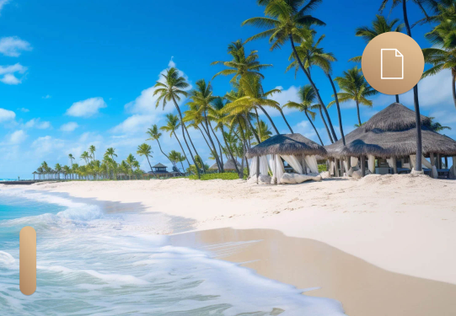 Suport complet în limba română și engleza:
    
  