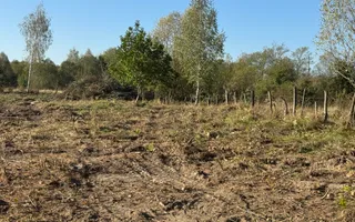 TEREN INTRAVILAN, CAMPULUNG,  2691 MP - Poză 19