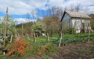 Vilă de vânzare – or. Durlești, str. I.P. Struguraș- LUXImediat după Gara de Sud - Poză 3