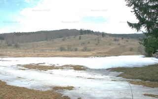 VALEA DOFTANEI - Traisteni, langa Conacul Dascalu, vanzare 2.537 mp. teren - Poză 12