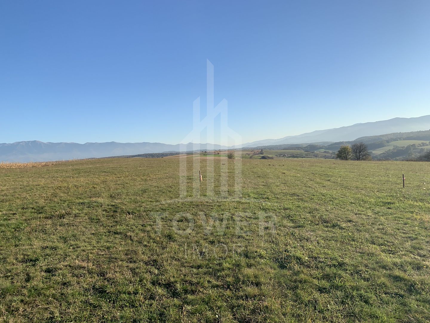 Teren pentru constructie cabana in Dealul Daii-parcele de 650 mp - Poză 2